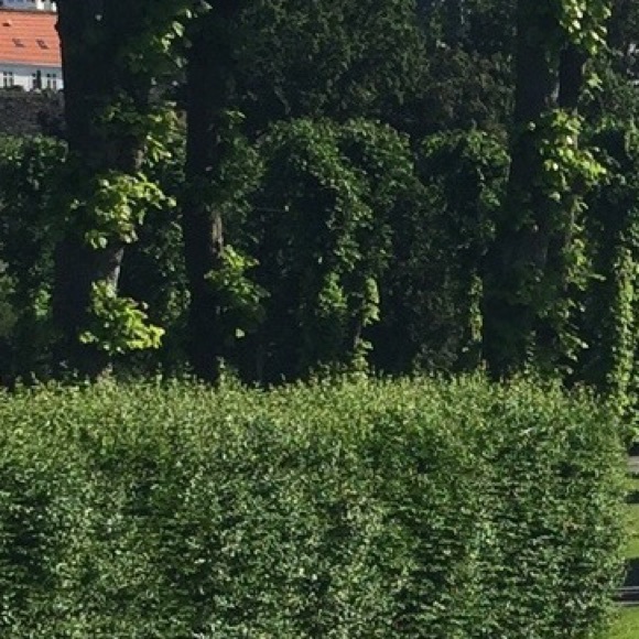 Meet your Posher, Allison - Picture 1 of 1